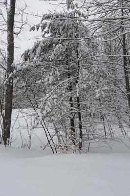 Cover of Pretty Winter Weather Journal