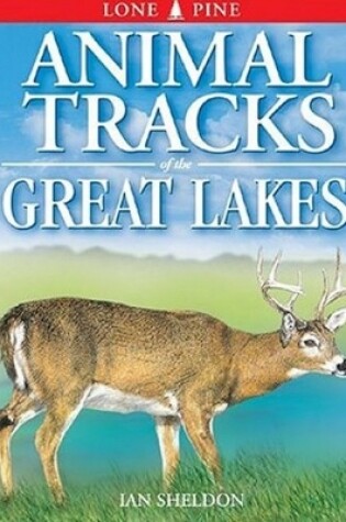 Cover of Animal Tracks of the Great Lakes