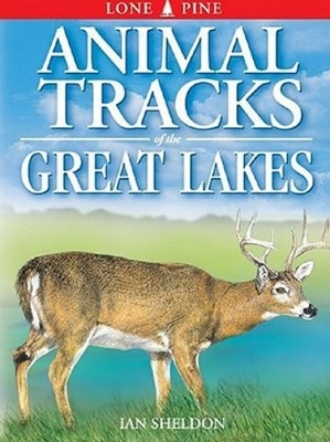 Book cover for Animal Tracks of the Great Lakes