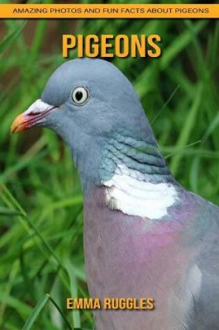 Cover of Pigeons