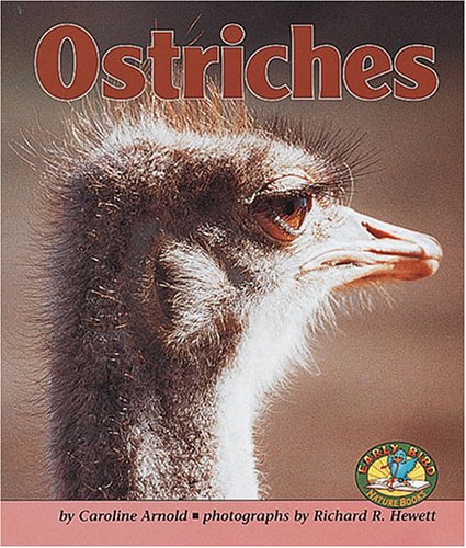 Book cover for Ostriches