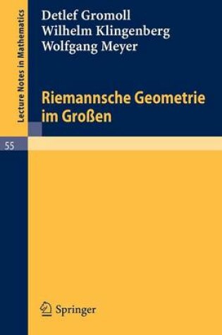 Cover of Riemannsche Geometrie Im Grossen