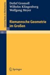 Book cover for Riemannsche Geometrie Im Grossen