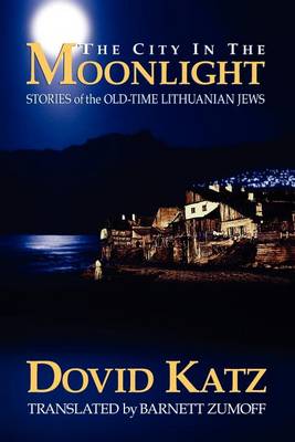 Book cover for The City in the Moonlight