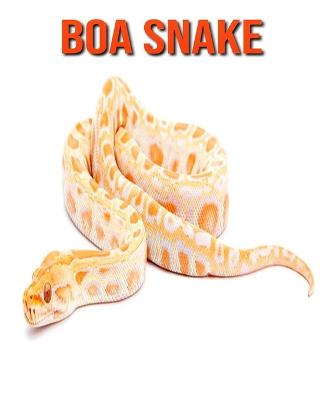 Book cover for Boa Snake