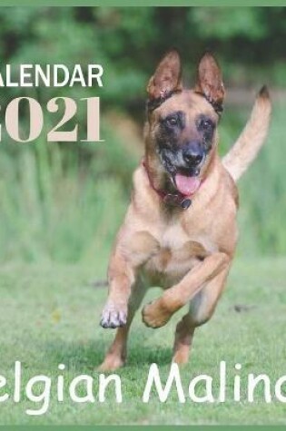 Cover of Belgian Malinois