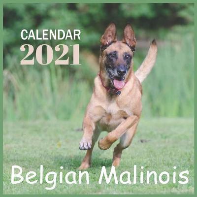 Book cover for Belgian Malinois