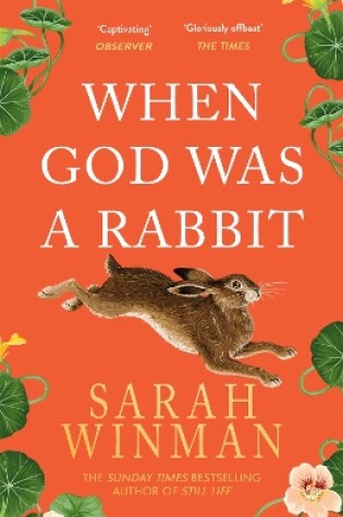 Cover of When God was a Rabbit