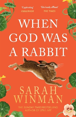 Book cover for When God was a Rabbit