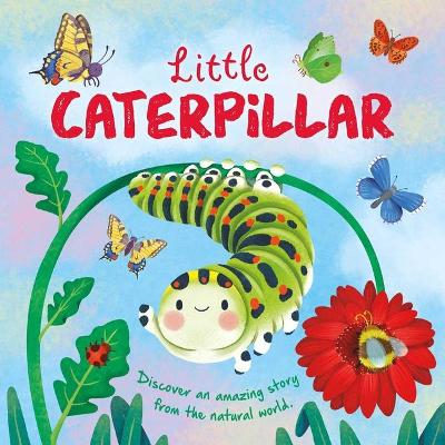 Book cover for Nature Stories: Little Caterpillar