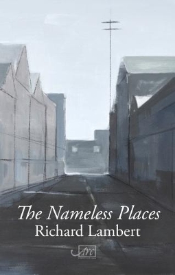 Book cover for The Nameless Places
