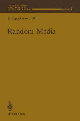 Book cover for Random Media