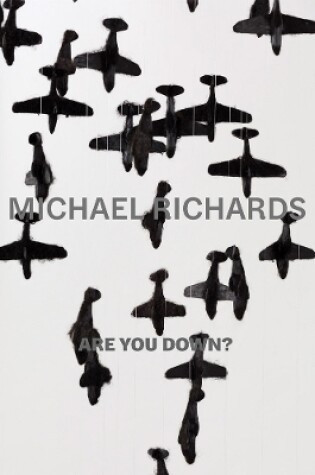 Cover of Michael Richards: Are You Down?