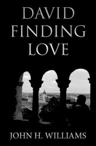 Cover of David Finding Love