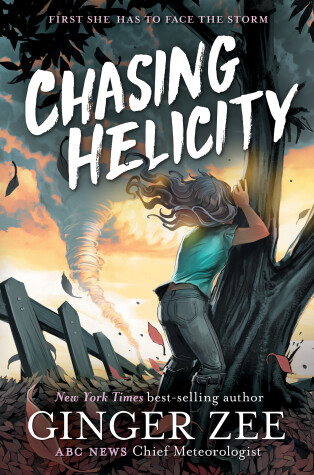 Book cover for Chasing Helicity