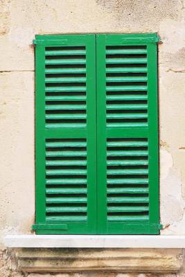 Book cover for A Beautiful Green Storm Shutter