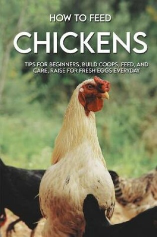 Cover of How To Feed Chickens