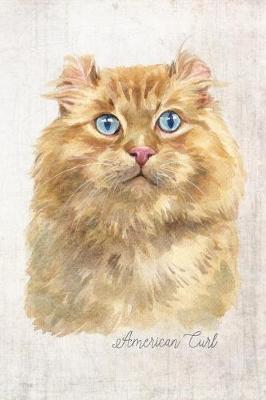 Cover of American Curl Cat Portrait Notebook