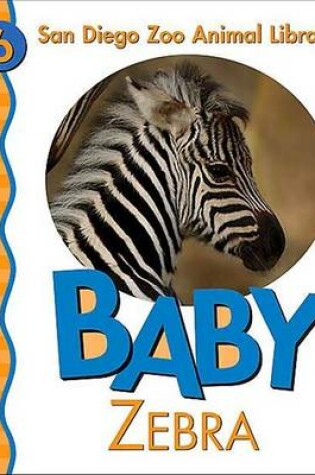 Cover of Baby Zebra