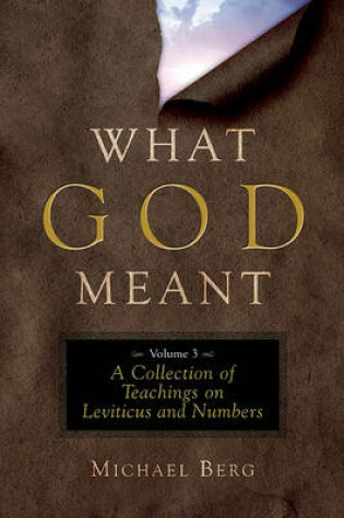 Cover of What God Meant Vol. 3