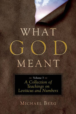 Book cover for What God Meant Vol. 3