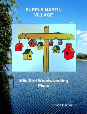 Book cover for Purple Martin Village