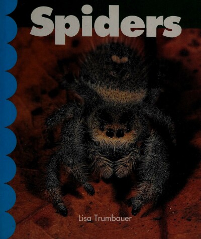 Book cover for Spiders