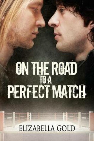 Cover of On the Road to a Perfect Match