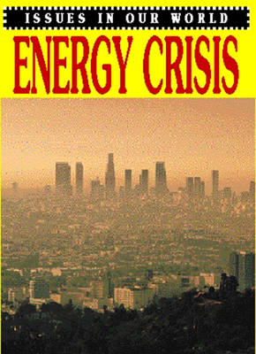 Book cover for Issues In Our World: Energy Crisis