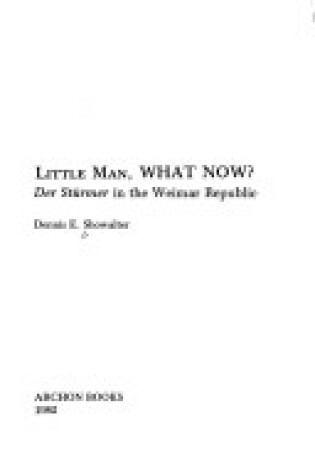 Cover of Little Man, What Now?