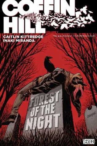 Cover of Coffin Hill Vol. 1