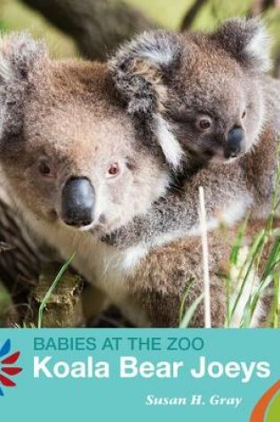 Cover of Koala Bear Joeys