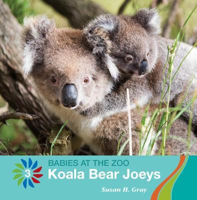 Cover of Koala Bear Joeys