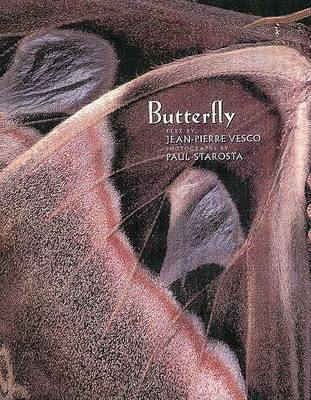 Book cover for Butterfly