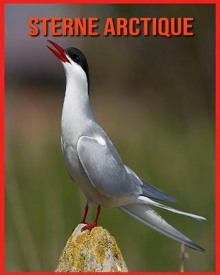 Book cover for Sterne Arctique