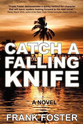 Book cover for Catch a Falling Knife