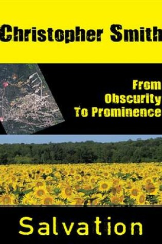 Cover of From Obscurity to Prominence