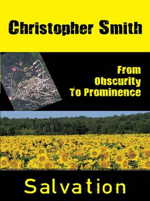 Book cover for From Obscurity to Prominence