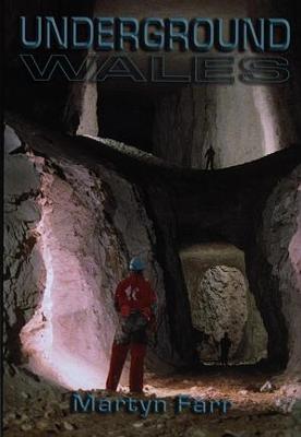 Book cover for Underground Wales