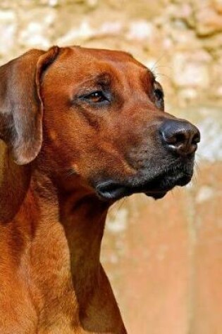 Cover of Rhodesian Ridgeback Sitting Quietly Journal