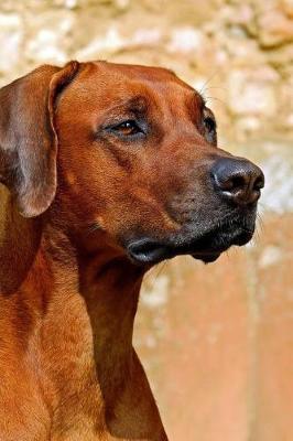 Book cover for Rhodesian Ridgeback Sitting Quietly Journal