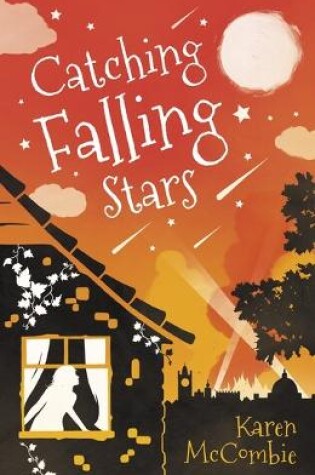 Cover of Catching Falling Stars