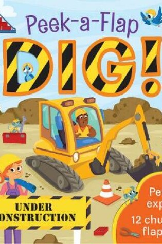 Cover of Dig!