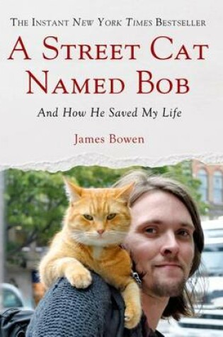 A Street Cat Named Bob