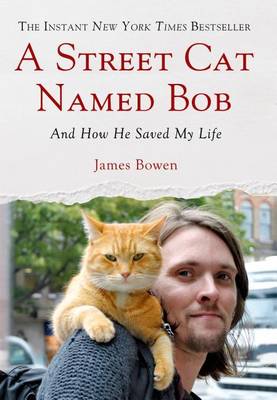 Book cover for A Street Cat Named Bob