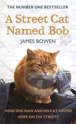 Book cover for A Street Cat Named Bob