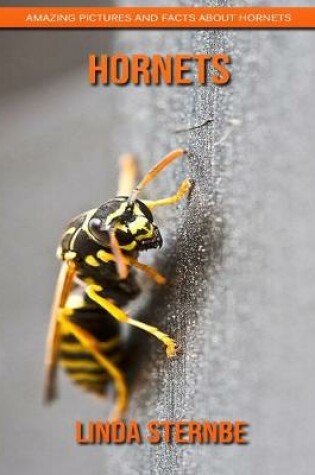 Cover of Hornets
