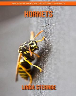 Book cover for Hornets