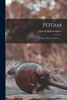 Book cover for Potam