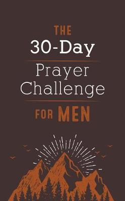 Book cover for 30-Day Prayer Challenge for Men